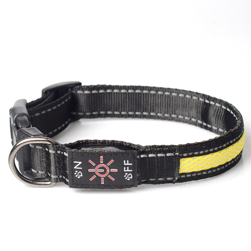 LED Luminous Dog Collar - USB-C Rechargeable Waterproof Nylon Mesh for Dogs