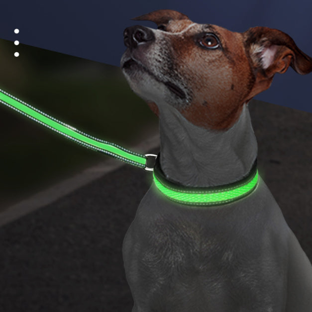 LED Luminous Dog Collar - USB-C Rechargeable Waterproof Nylon Mesh for Dogs