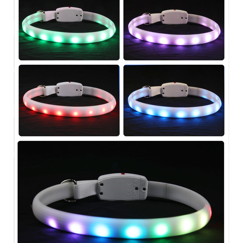 LED Glowing Dog Collar - USB Rechargeable Flashing Night Safety Collar for Dogs