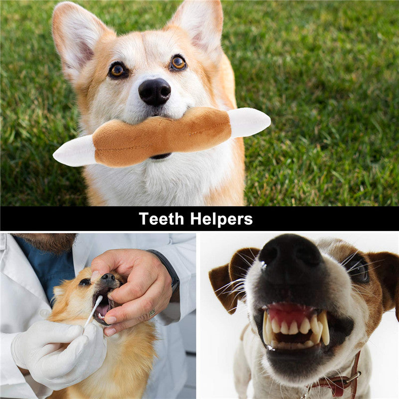 Dog Squeaky Plush Toy - Fashion Interactive Game Toy for Dogs
