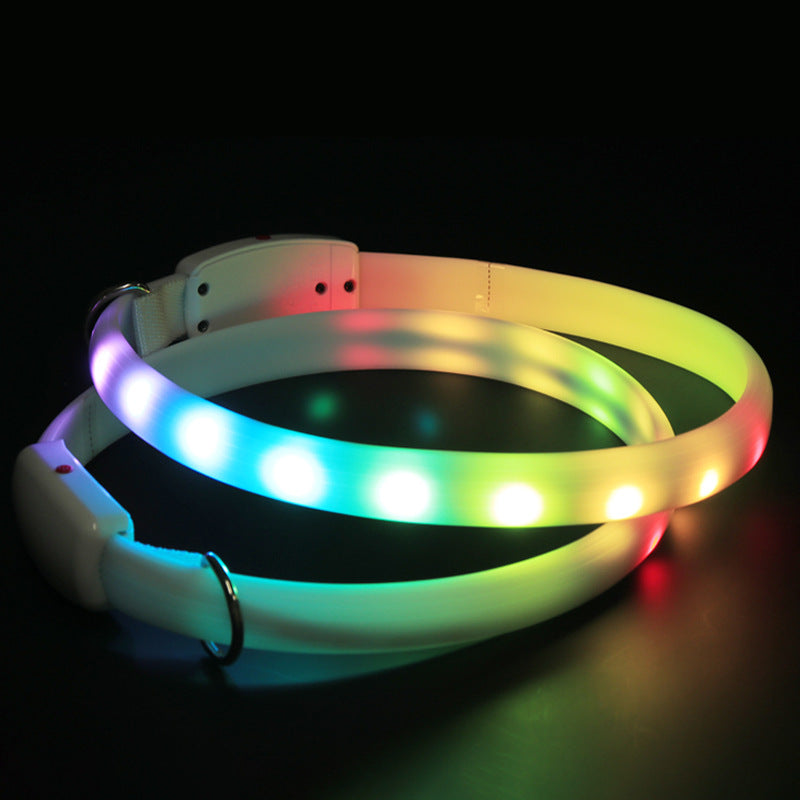 LED Glowing Dog Collar - USB Rechargeable Flashing Night Safety Collar for Dogs