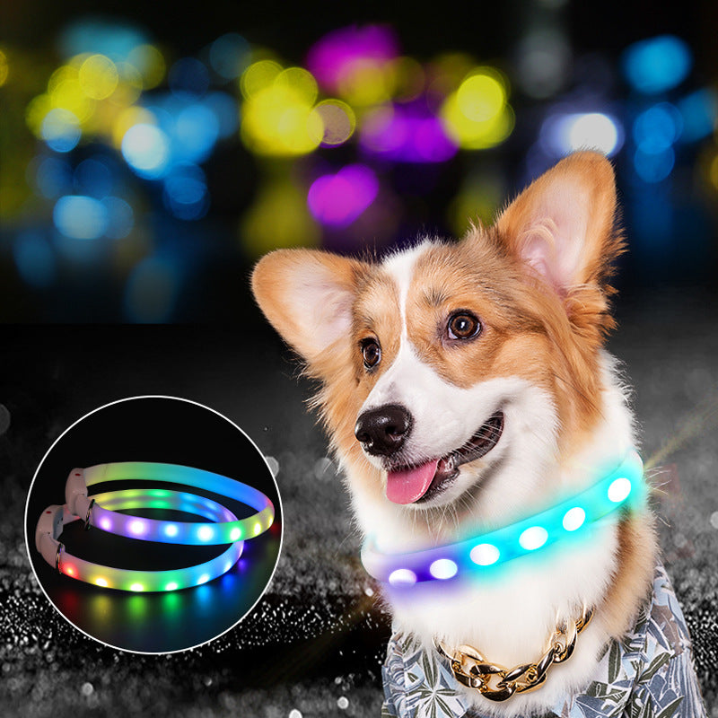 LED Glowing Dog Collar - USB Rechargeable Flashing Night Safety Collar for Dogs