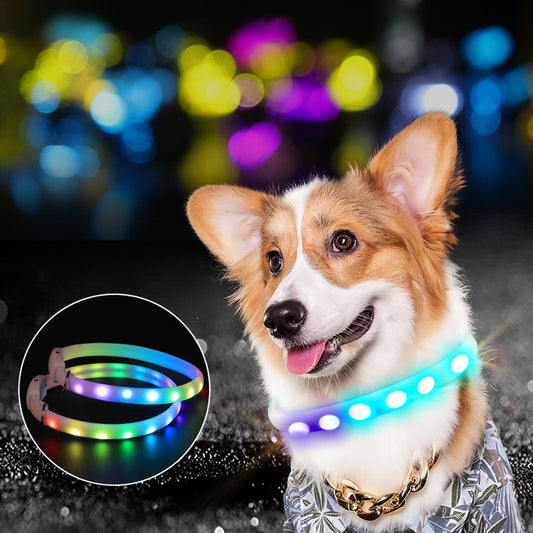 LED Glowing Dog Collar - USB Rechargeable Flashing Night Safety Collar for Dogs